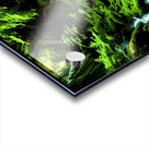 Mise-en-scene Acrylic print